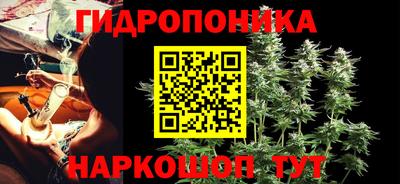 винт Партизанск