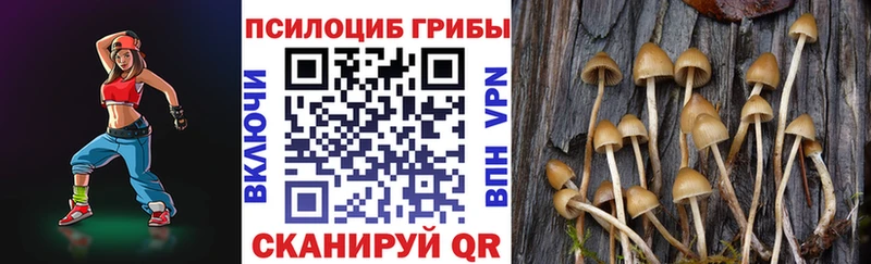 Псилоцибиновые грибы мицелий  Иркутск 