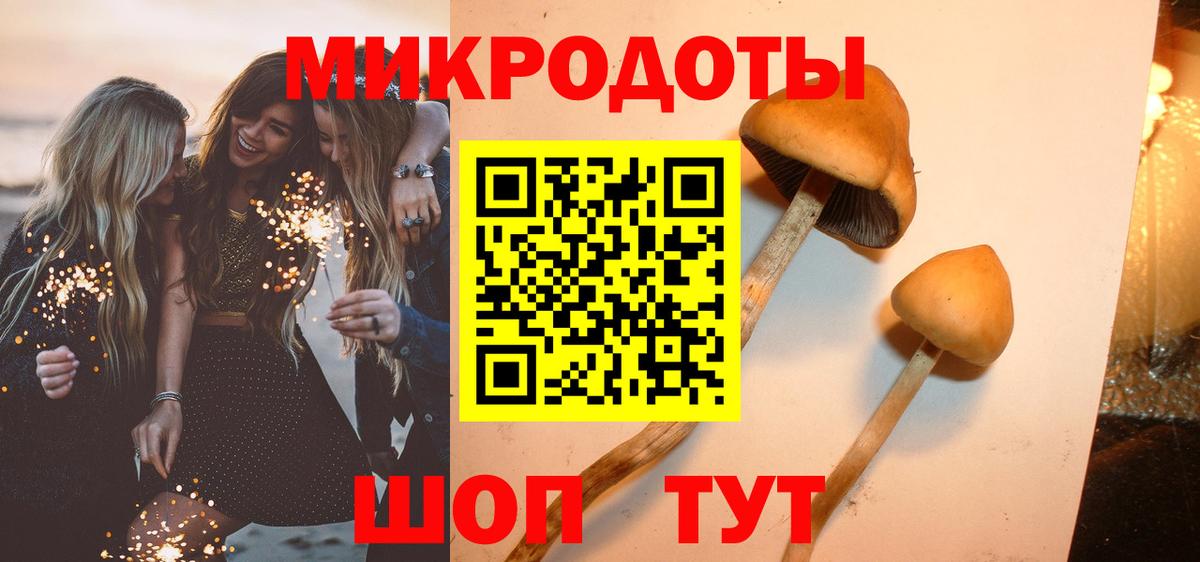 купить наркоту  Галлюциногенные грибы прущие грибы  Вход с VPN  Иркутск 